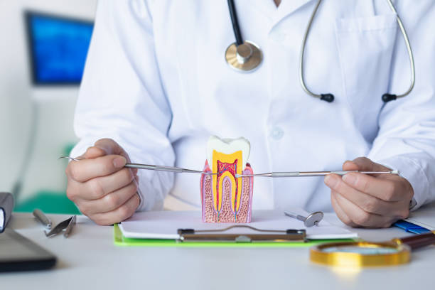 Best Emergency Dental Extractions in Anchor Point, AK